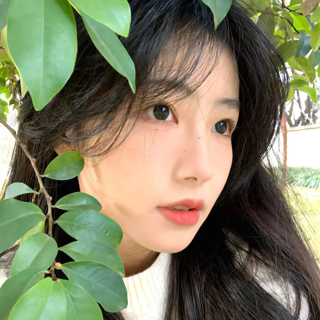 美人无泪
