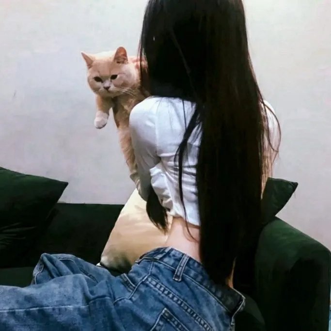 不是钱的事2012